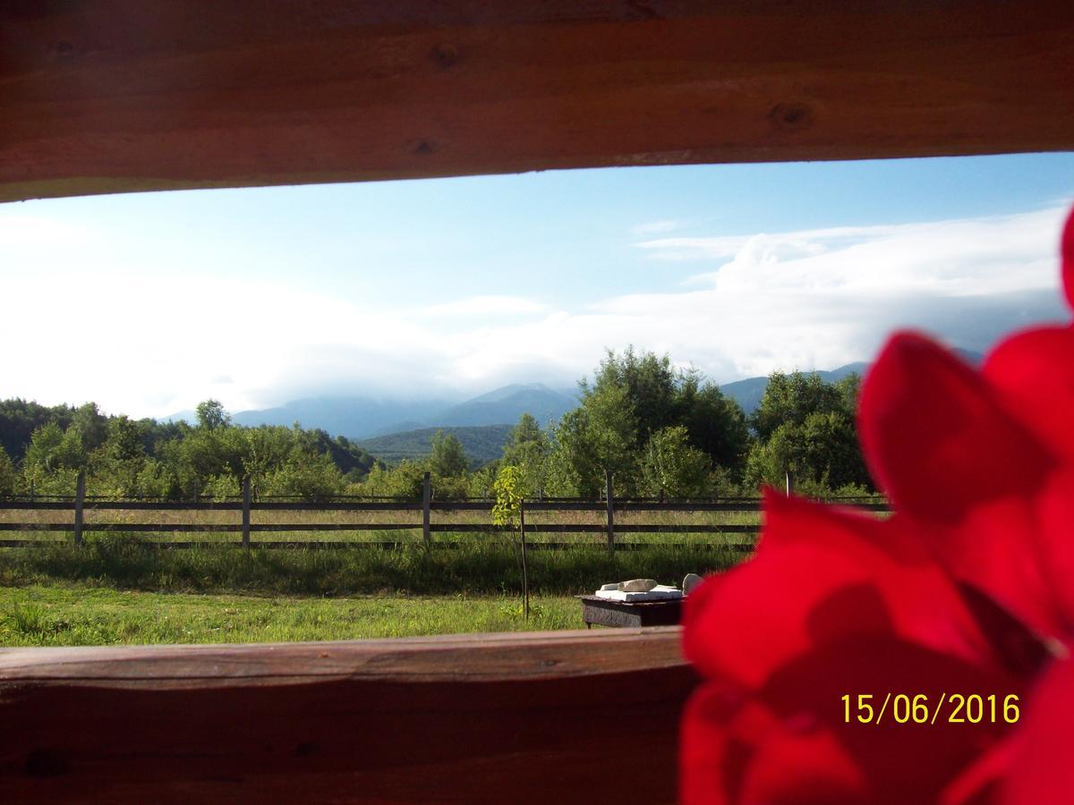 Musketeers Cabin Porumbacu de Sus Exterior foto