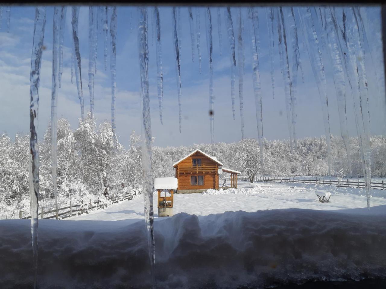 Musketeers Cabin Porumbacu de Sus Exterior foto
